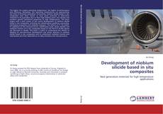 Buchcover von Development of niobium silicide based in situ composites