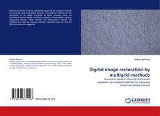 Couverture de Digital image restoration by multigrid methods