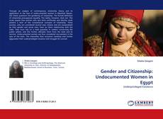 Borítókép a  Gender and Citizenship: Undocumented Women in Egypt - hoz