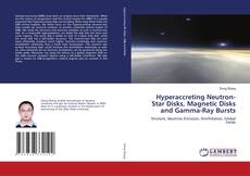 Capa do livro de Hyperaccreting Neutron-Star Disks, Magnetic Disks and Gamma-Ray Bursts 