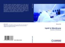 Copertina di Lipid in Membrane
