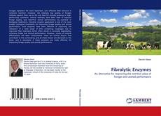 Bookcover of Fibrolytic Enzymes