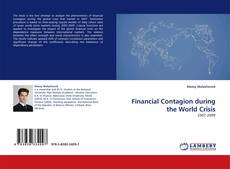Buchcover von Financial Contagion during the World Crisis