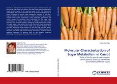 Buchcover von Molecular Characterization of Sugar Metabolism in Carrot