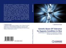 Обложка Genetic Bases Of Tolerance To Hypoxia Condition in Rice