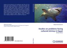 Copertina di Studies on problems facing cultured shrimp in Egypt