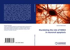 Bookcover of Elucidating the role of MKK4 in neuronal apoptosis