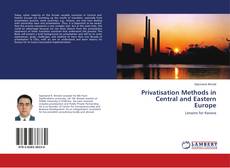 Privatisation Methods in Central and Eastern Europe kitap kapağı