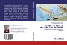 Buchcover von Трудовые права в системе прав человека