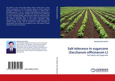 Couverture de Salt tolerance in sugarcane (Saccharum officinarum L)