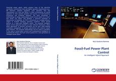 Fossil-Fuel Power Plant Control kitap kapağı
