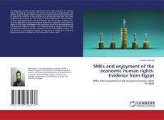 SMEs and enjoyment of the economic human rights: Evidence from Egypt的封面