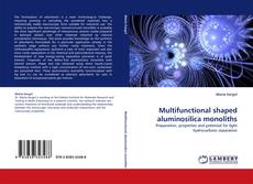 Copertina di Multifunctional shaped aluminosilica monoliths