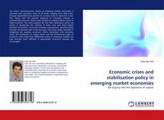 Economic crises and stabilisation policy in emerging market economies kitap kapağı