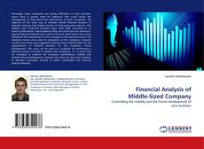 Bookcover of Financial Analysis of Middle-Sized Company
