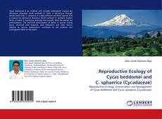 Bookcover of Reproductive Ecology of Cycas beddomei and C. sphaerica (Cycadaceae)