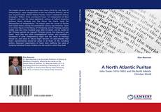 Capa do livro de A North Atlantic Puritan 
