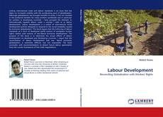 Labour Development的封面