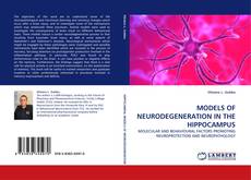 MODELS OF NEURODEGENERATION IN THE HIPPOCAMPUS的封面
