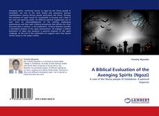 Portada del libro de A Biblical Evaluation of the Avenging Spirits (Ngozi)