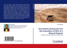 Capa do livro de Uncertainty Assessment for the Evaluation of NPV of a Mineral Deposit 