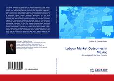 Portada del libro de Labour Market Outcomes in Mexico