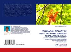 POLLINATION BIOLOGY OF DECALEPIS HAMILTONII AND SHOREA TUMBUGGAIA kitap kapağı