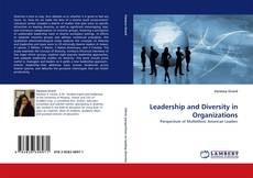 Leadership and Diversity in Organizations的封面