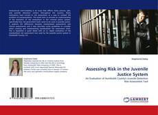 Capa do livro de Assessing Risk in the Juvenile Justice System 