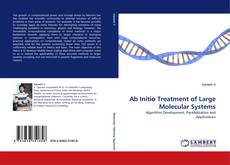 Ab Initio Treatment of Large Molecular Systems kitap kapağı