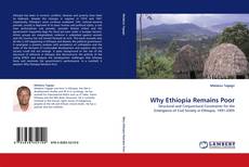 Why Ethiopia Remains Poor kitap kapağı