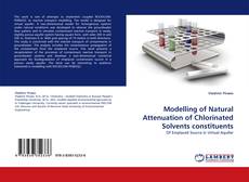 Copertina di Modelling of Natural Attenuation of Chlorinated Solvents constituents