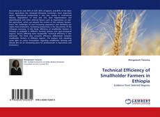 Technical Efficiency of Smallholder Farmers in Ethiopia kitap kapağı