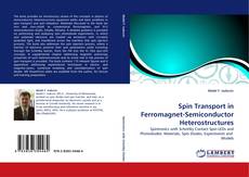 Buchcover von Spin Transport in Ferromagnet-Semiconductor Heterostructures