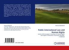 Copertina di Public International Law and Human Rights