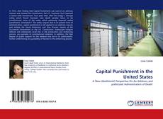 Copertina di Capital Punishment in the United States