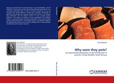 Portada del libro de Why were they pots?