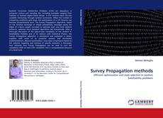 Survey Propagation methods的封面