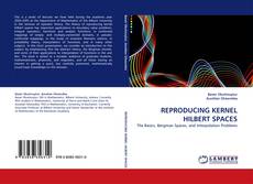 ﻿REPRODUCING KERNEL HILBERT SPACES kitap kapağı