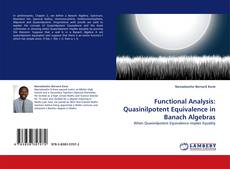 Buchcover von Functional Analysis: Quasinilpotent Equivalence in Banach Algebras