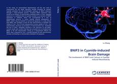 Couverture de BNIP3 in Cyanide-induced Brain Damage