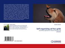 Couverture de Self organizing ad hoc grids