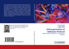 Couverture de Self-organization of Addresses Protocol