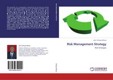 Couverture de Risk Management Strategy