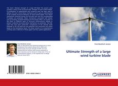 Ultimate Strength of a large wind turbine blade的封面