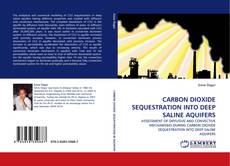 Portada del libro de CARBON DIOXIDE SEQUESTRATION INTO DEEP SALINE AQUIFERS