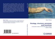 Capa do livro de Strategy, structure, processes and incentives 