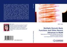 Multiple Domain Basis Functions and Other Recent Advances in MoM kitap kapağı