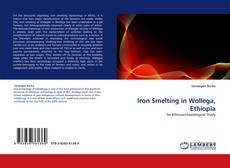 Iron Smelting in Wollega, Ethiopia kitap kapağı