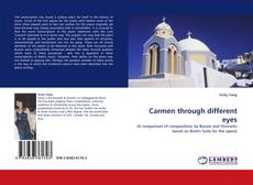 Bookcover of Carmen through different eyes